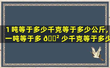 １吨等于多少千克等于多少公斤,一吨等于多 🌲 少千克等于多少公 🦉 斤等于多少斤